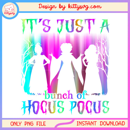 Bunch of hocus pocus colorful design png, hocus pocus png, halloween png