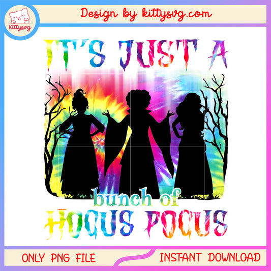 Bunch of hocus pocus colorful halloween png, happy halloween png