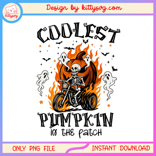 Coolest pumpkin in the patch png, spirit of halloween png, pumpkin png