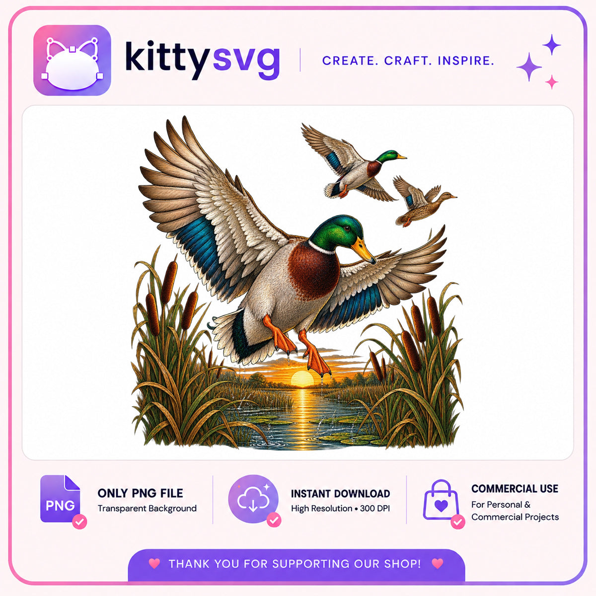 Mallard Duck Landing Sunset PNG, Duck Hunting PNG, Wildlife PNG