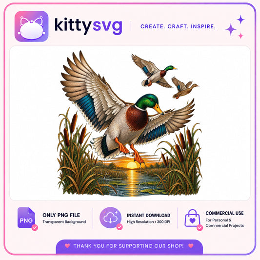 Mallard Duck Landing Sunset PNG, Duck Hunting PNG, Wildlife PNG